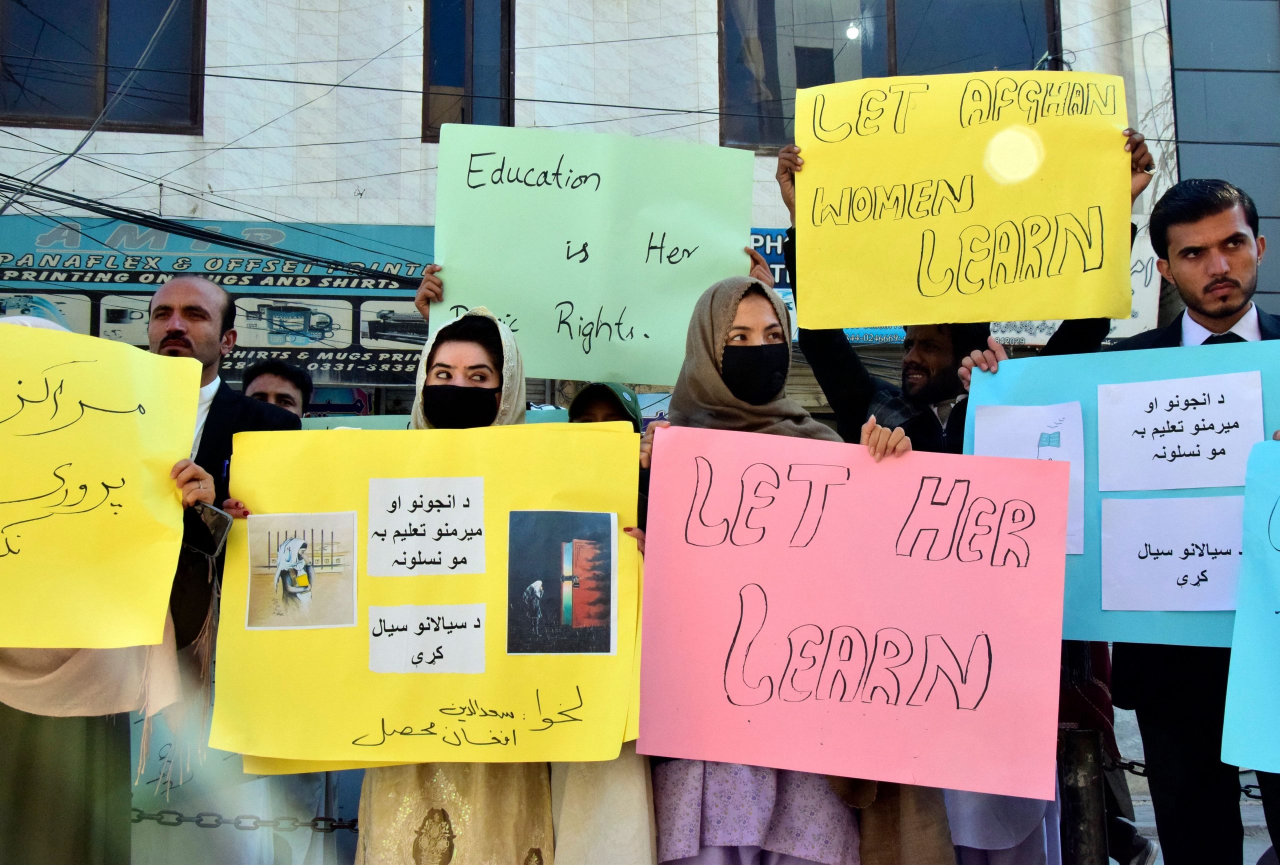 Afghanistan professor tears diplomas in protest against women education ban: Watch