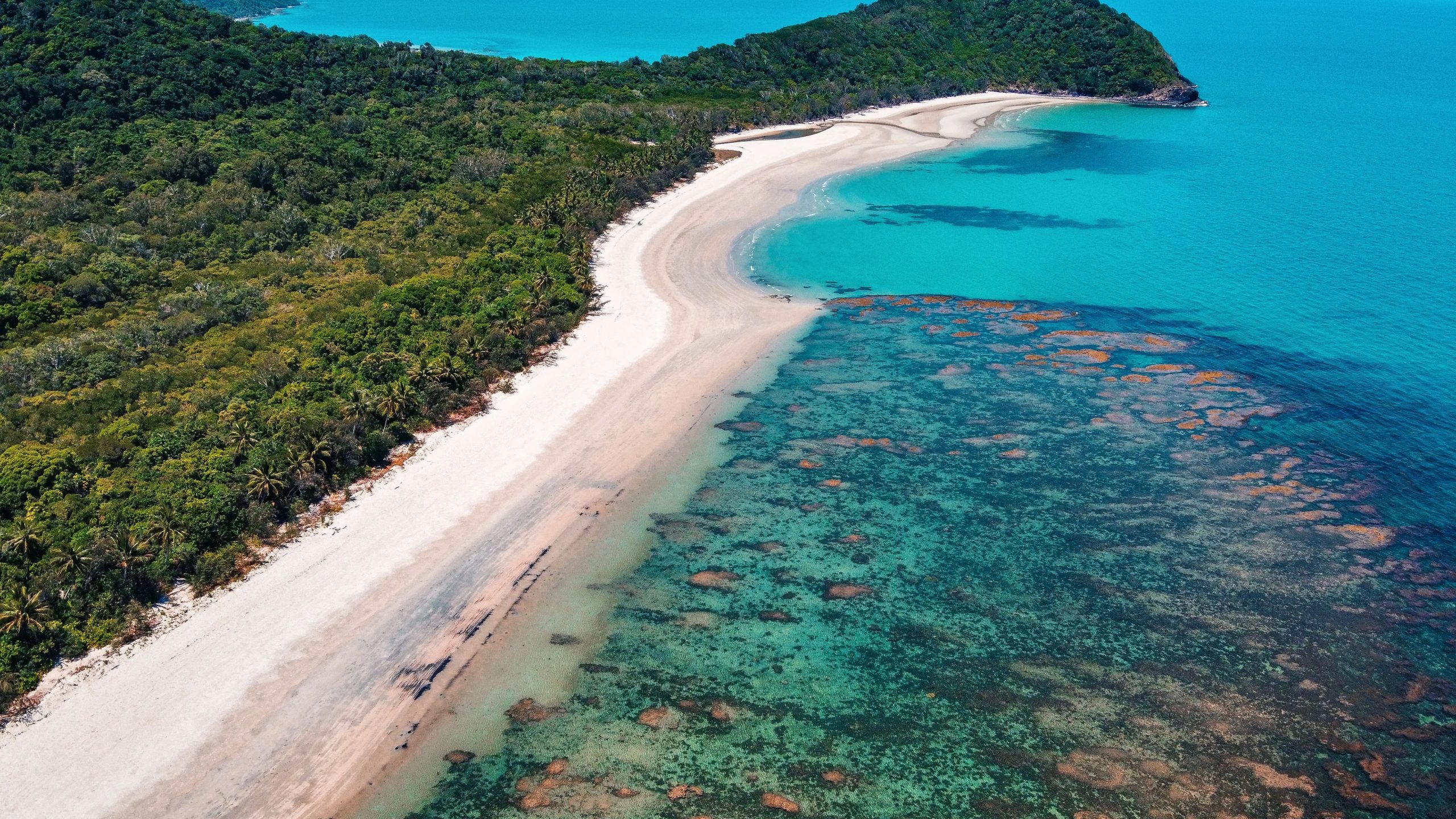 To save Great Barrier Reef status, Australia to take ambassadors snorkelling