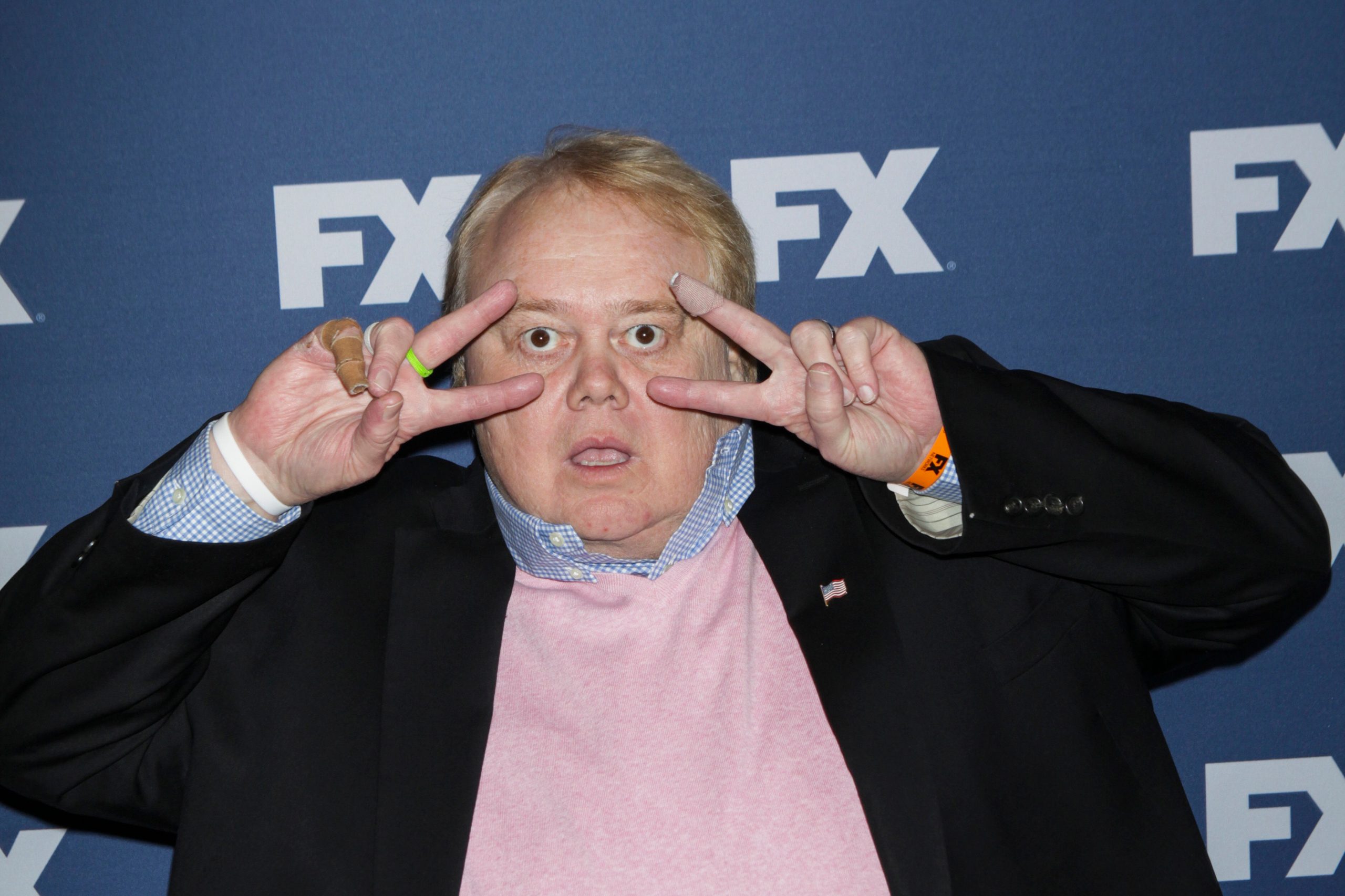 Who is Louie Anderson?