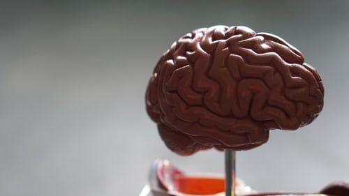 COVID-19 may lead to long-term brain tissue loss: Study