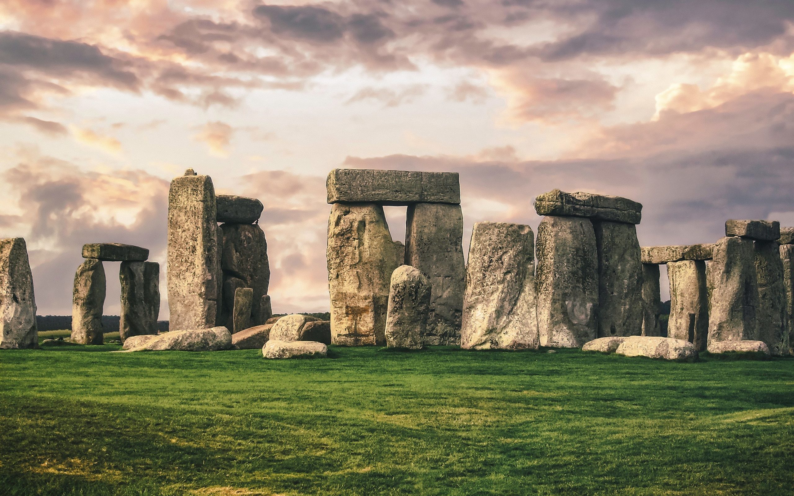 Stonehenge builders ate internal organs of cattle, ancient poop reveals