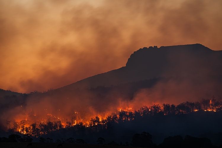 From Australia to California, worst forest fires in recent history
