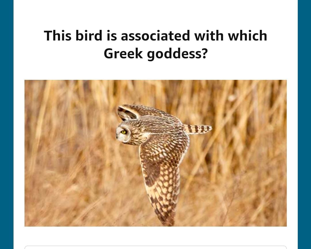 Amazon Quiz: This bird is associated with which Greek goddess?