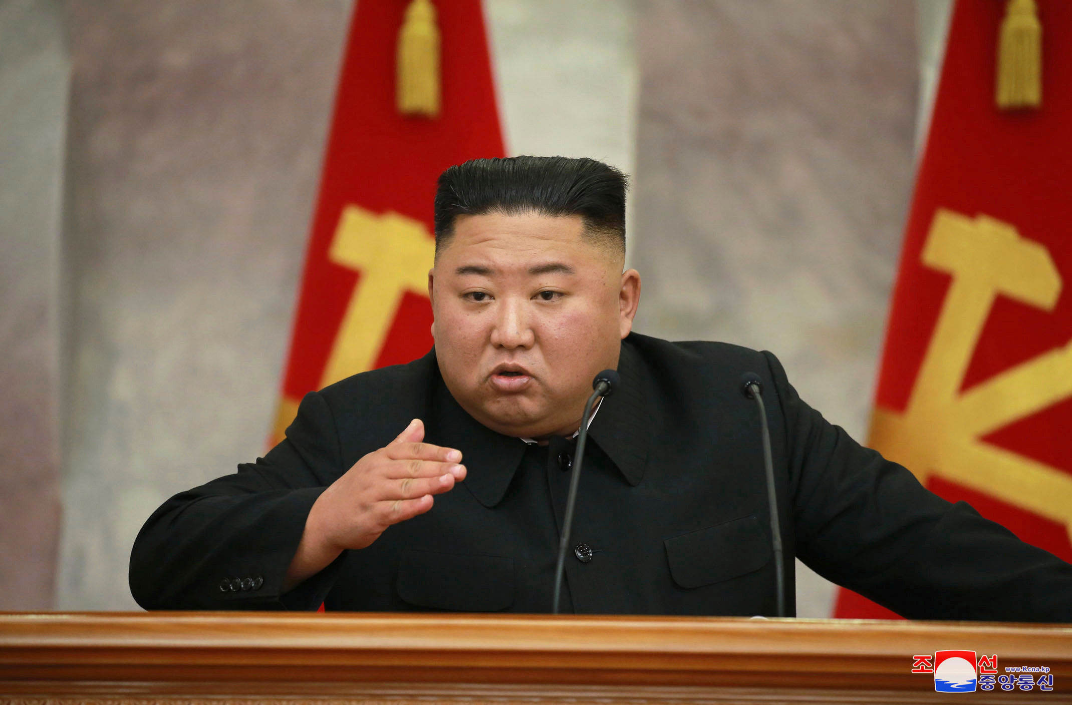Kim Jong-un is in coma, delegates power to sister: Reports