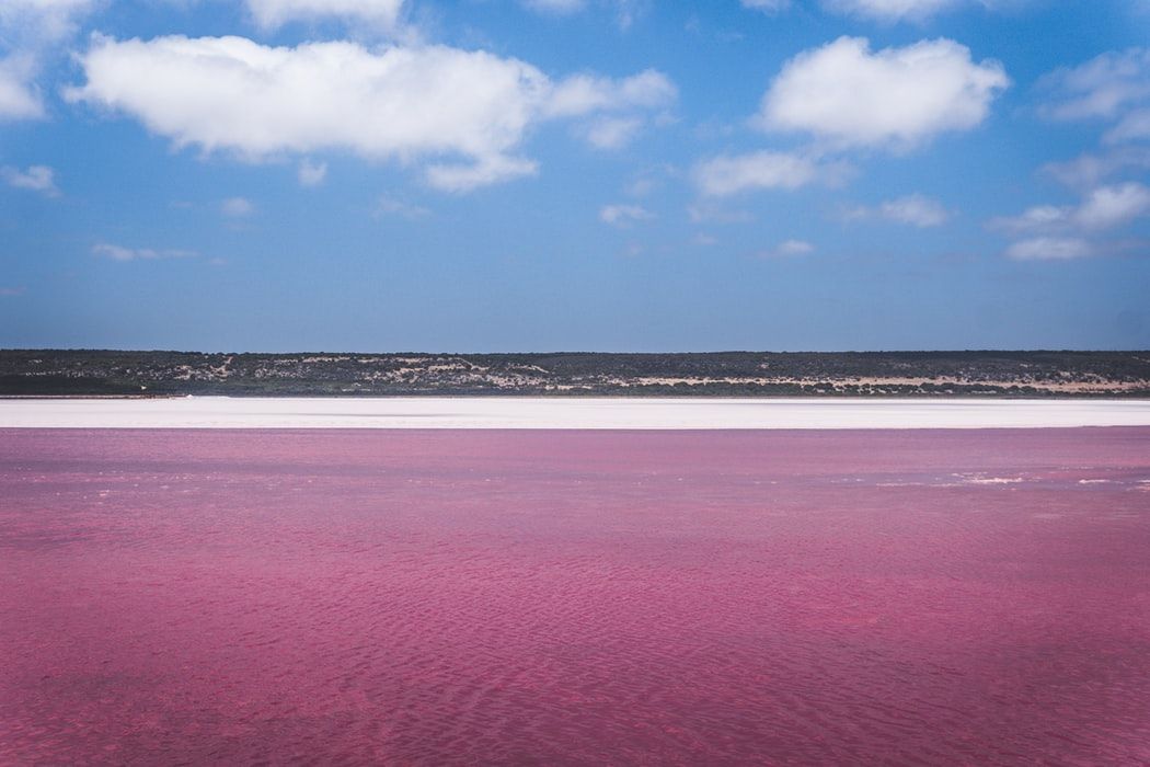 Pollution turns Argentina lake bright pink