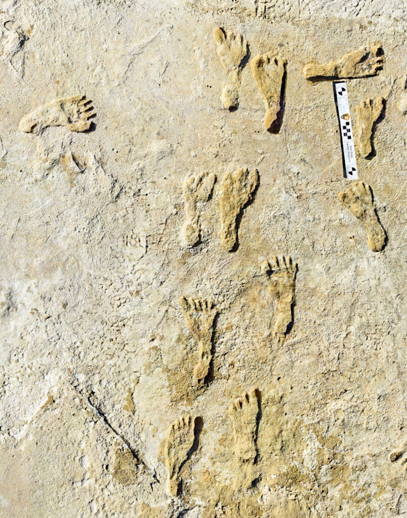 Scientists find oldest human footprints in North America