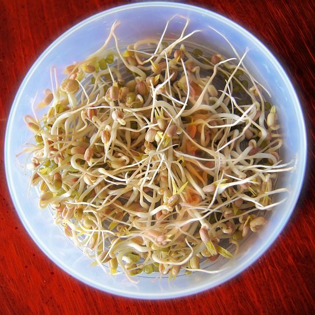 Ultimate sprouting guide: Benefits and how you can make sprouts tasty
