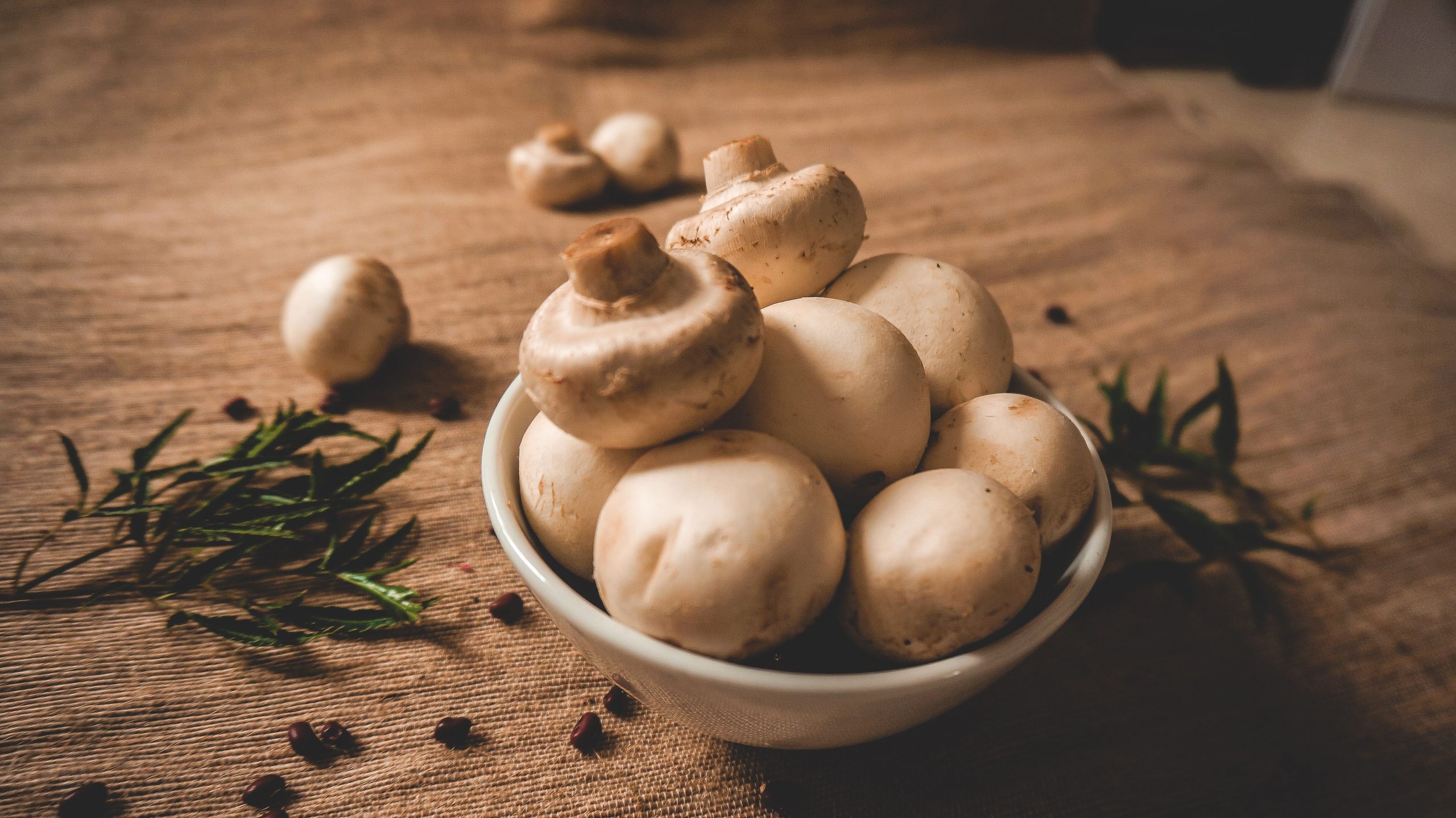 Make room for some mushrooms: A superfood and rich iron source