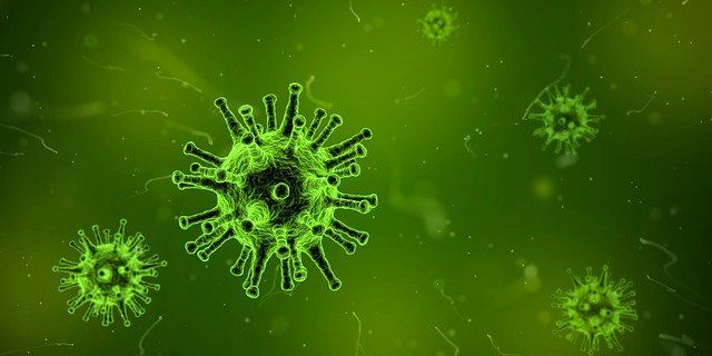 Norovirus cases reported in UK: All you need to know about the new virus