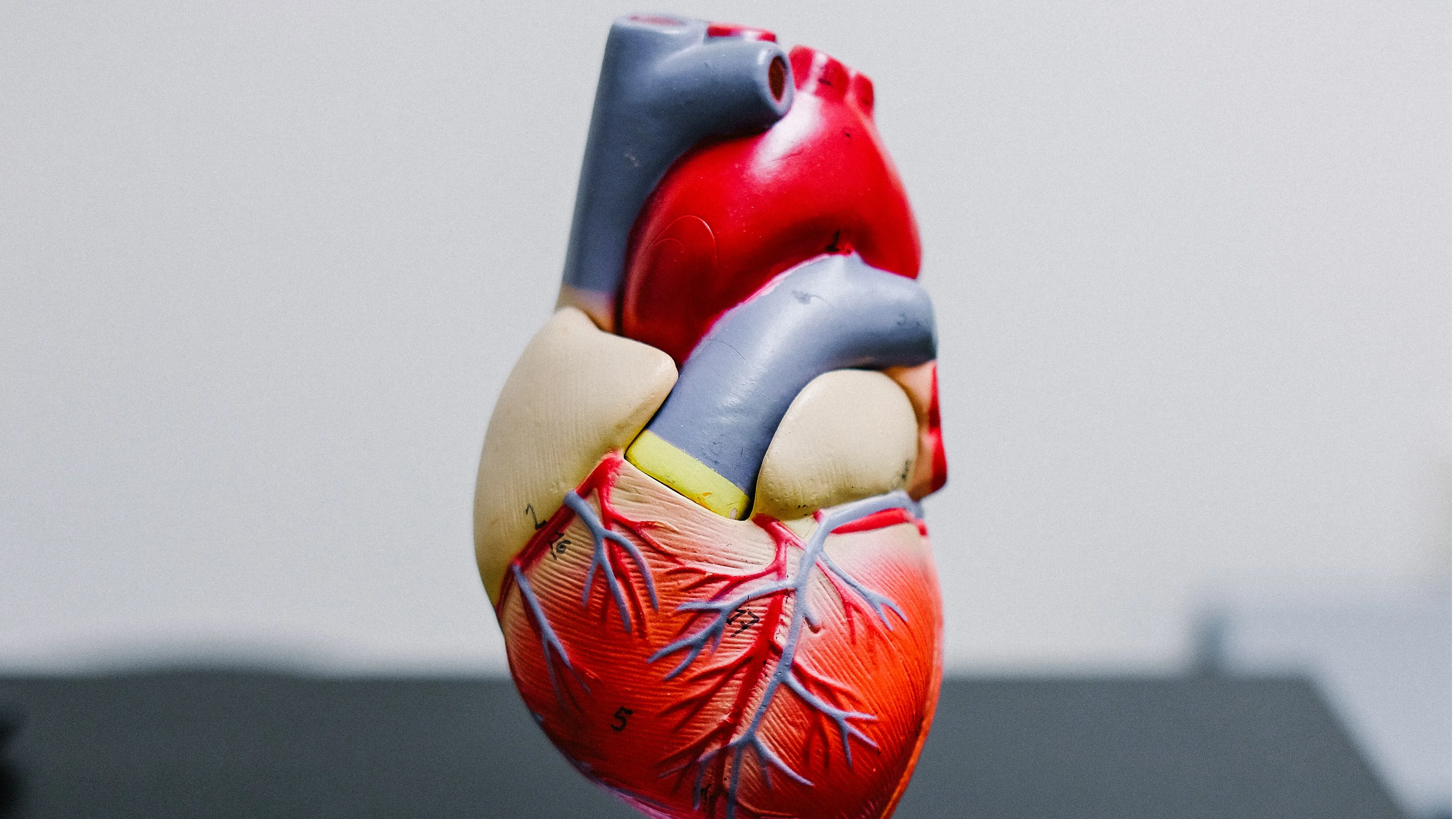 Fat or slim, fatty heart can impact anyone. Here’s how to avoid it