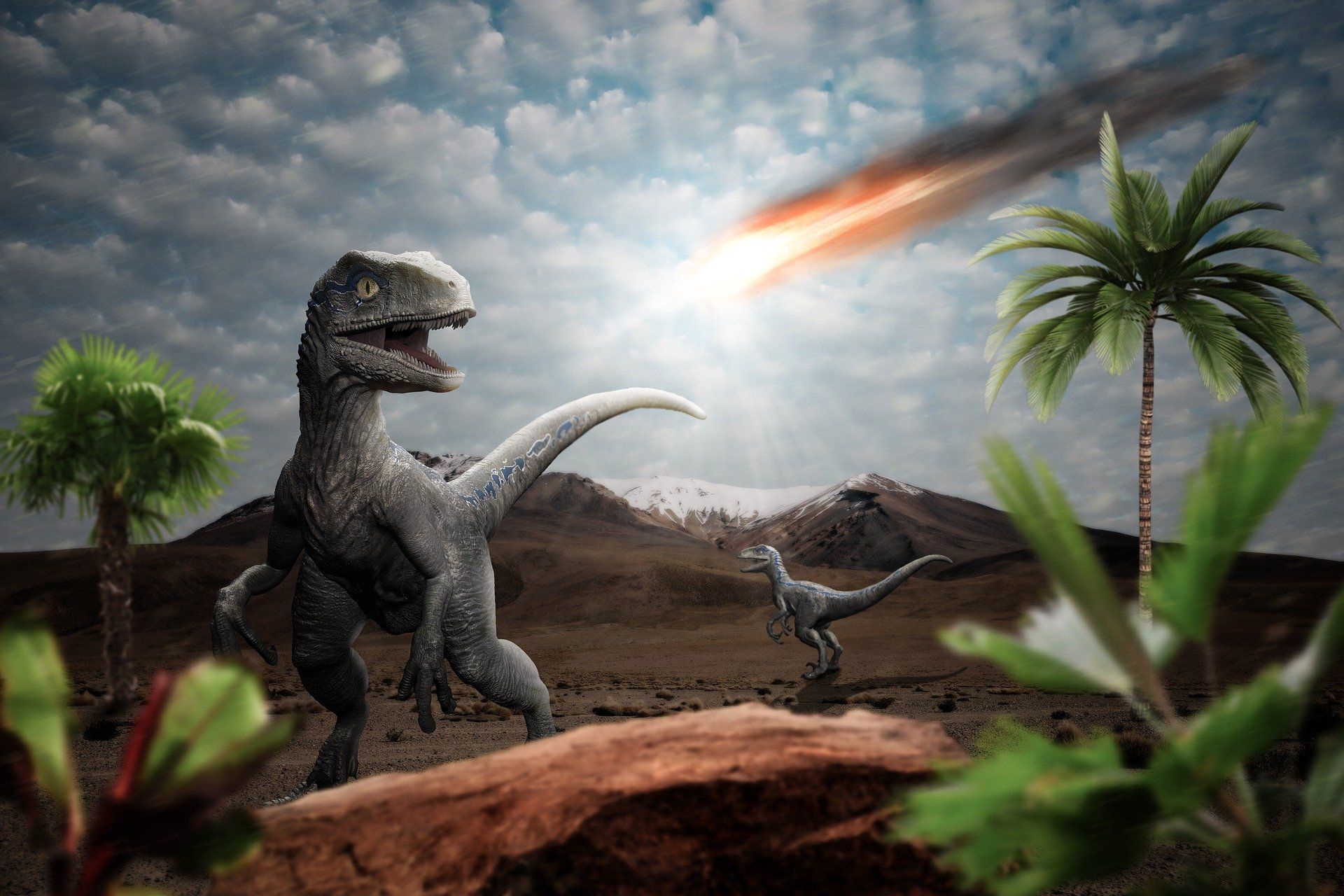 Man-made sixth mass extinction event cannot be stopped, warn scientists