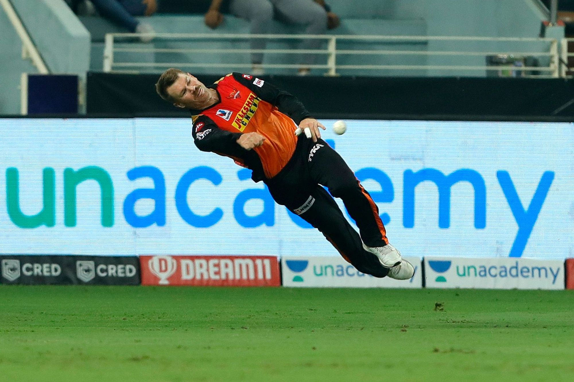 David Warner becomes the first player to register 50 fifty-plus runs in IPL