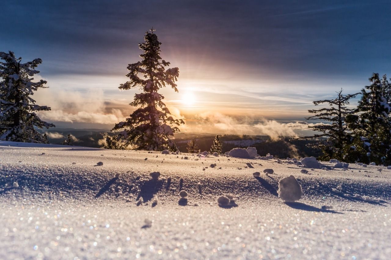 Winter solstice on December 21: Here is a fun activity you can do today