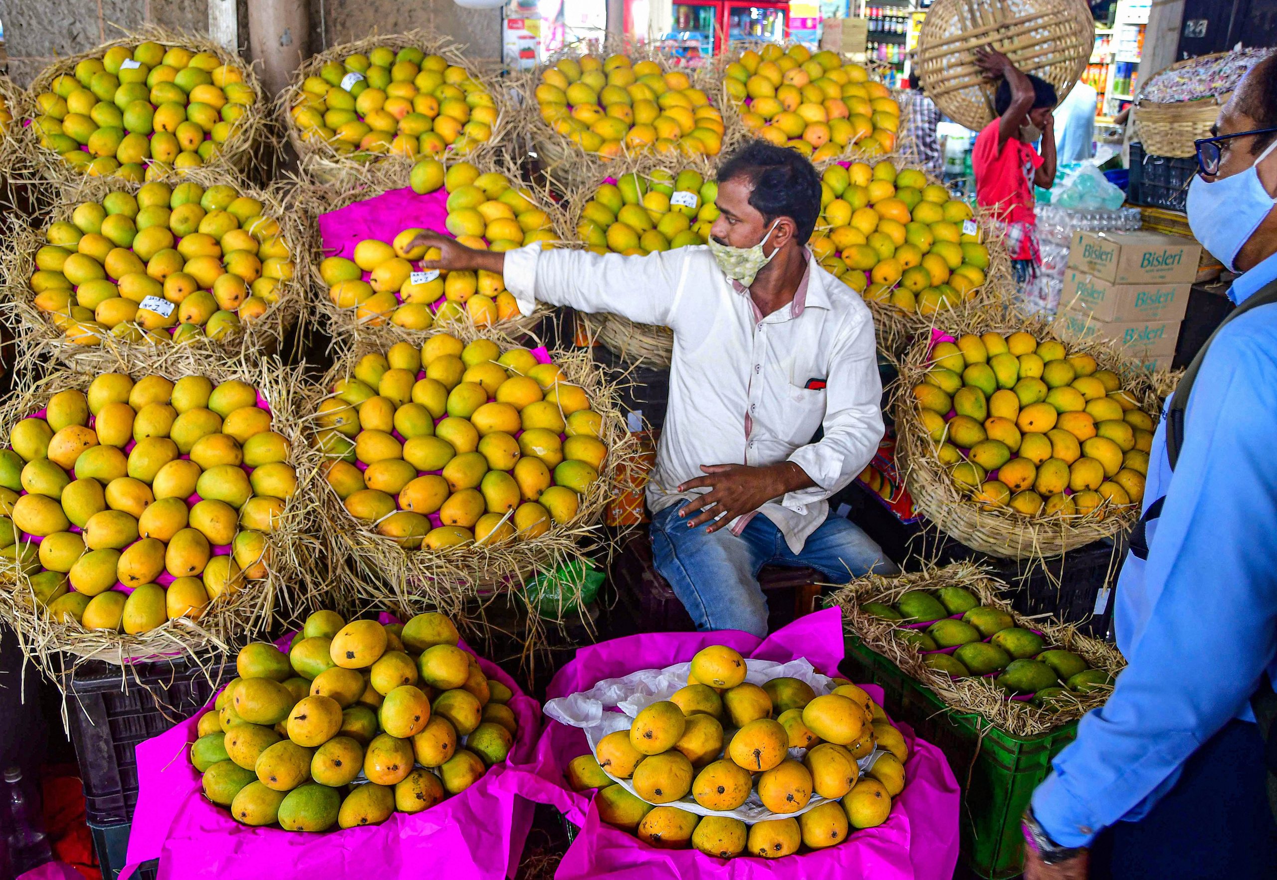 How a rare mango called for security in India’s MP