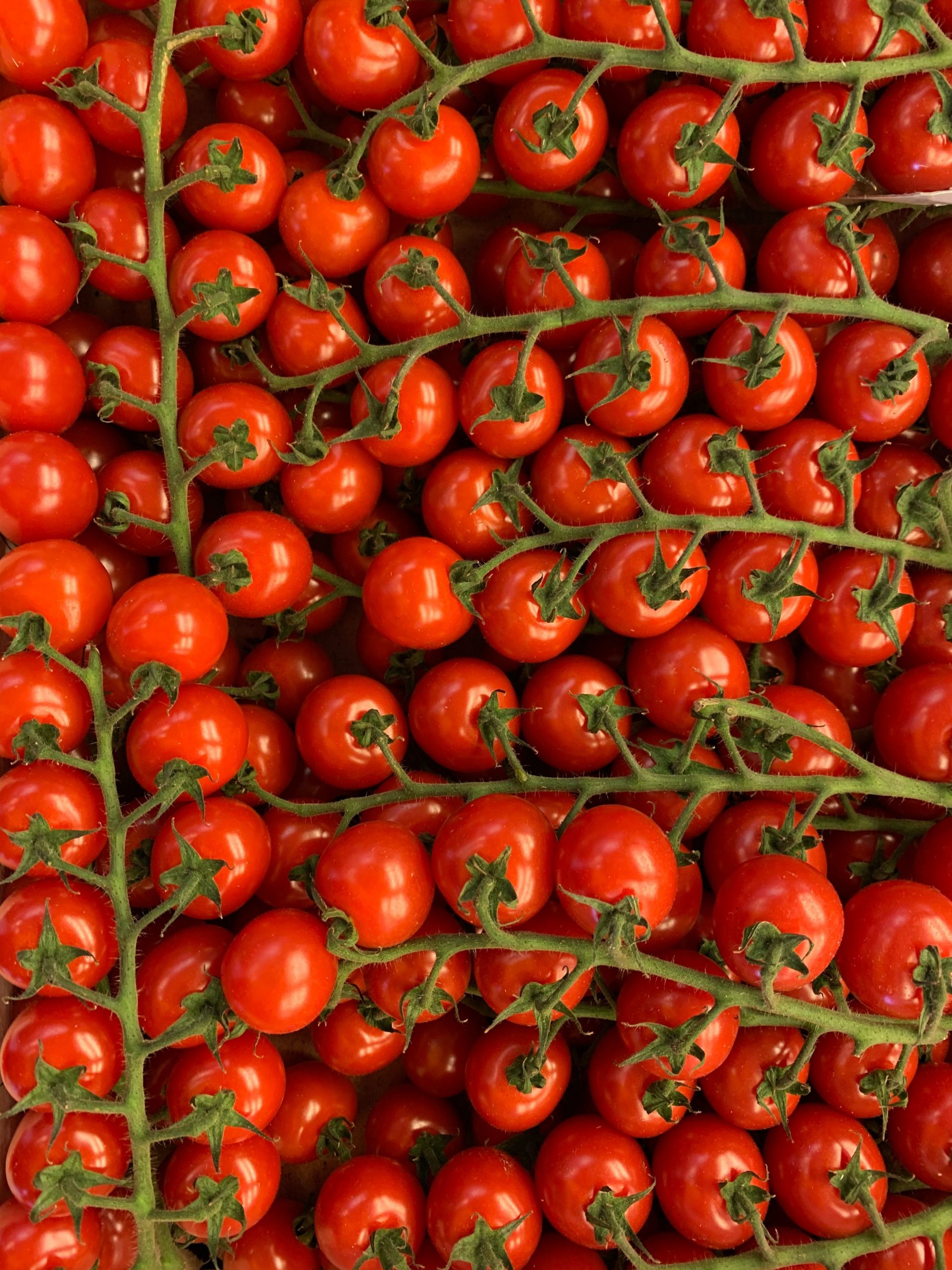 Tomato price rise: 5 Ingredients to substitute for tomatoes