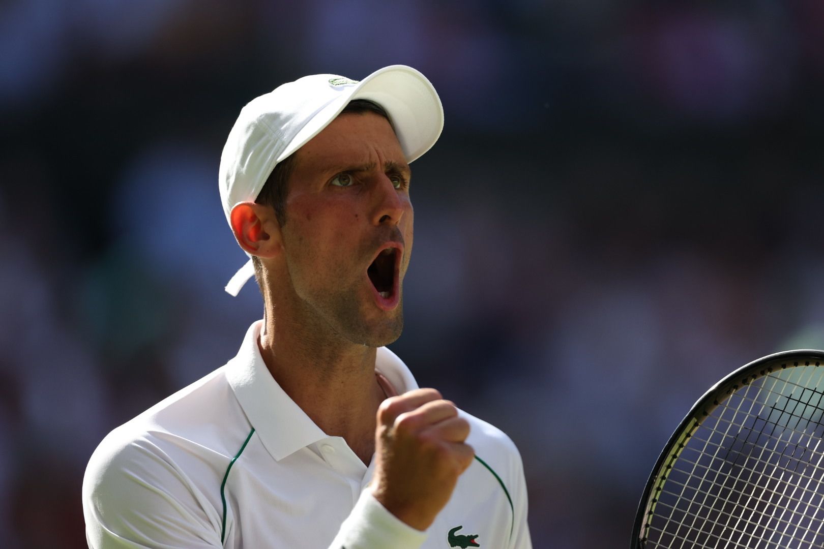 Novak Djokovics road to the Wimbledon 2022 title