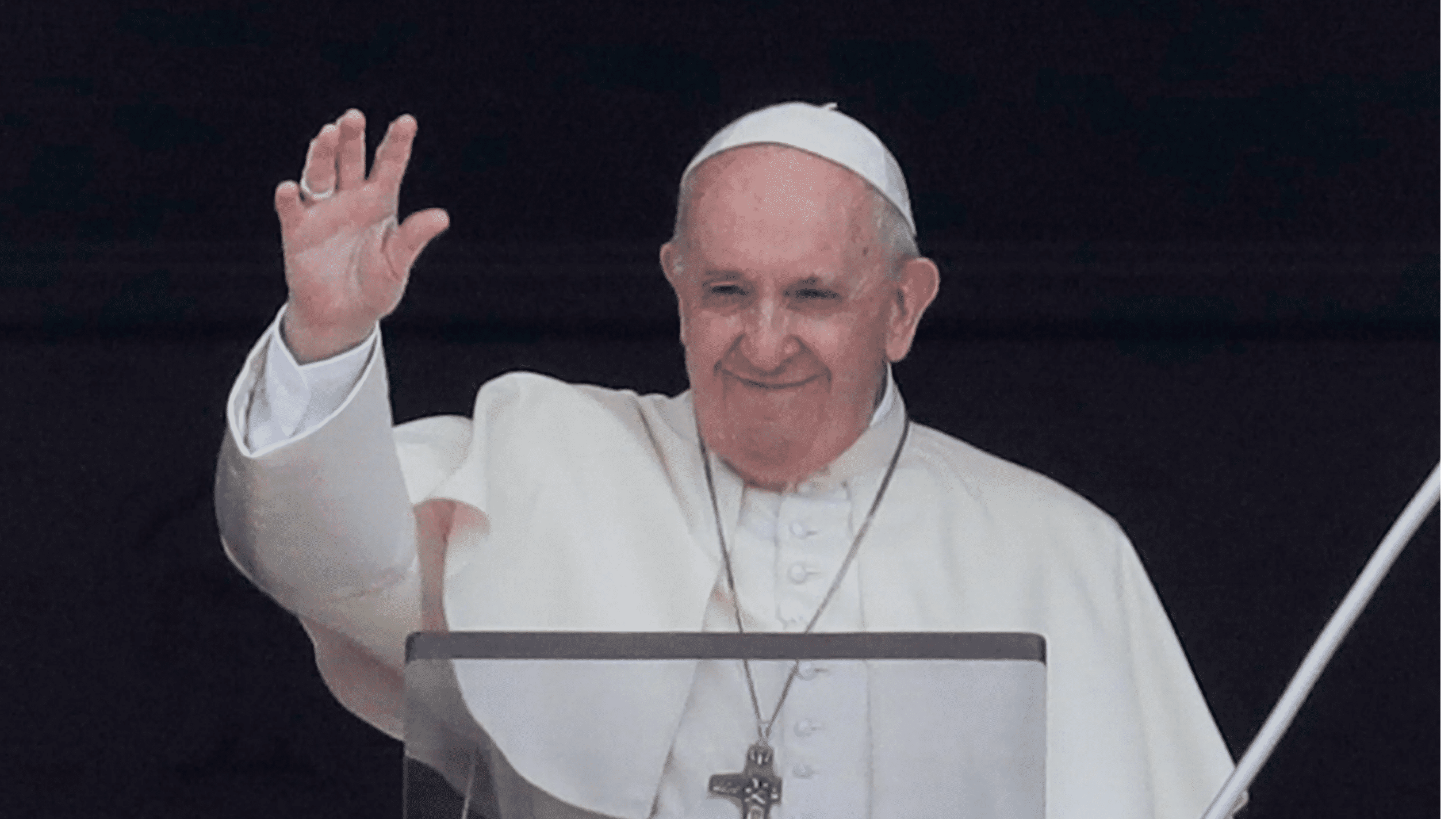 ‘Homosexual people have right to be in a family’: Pope Francis