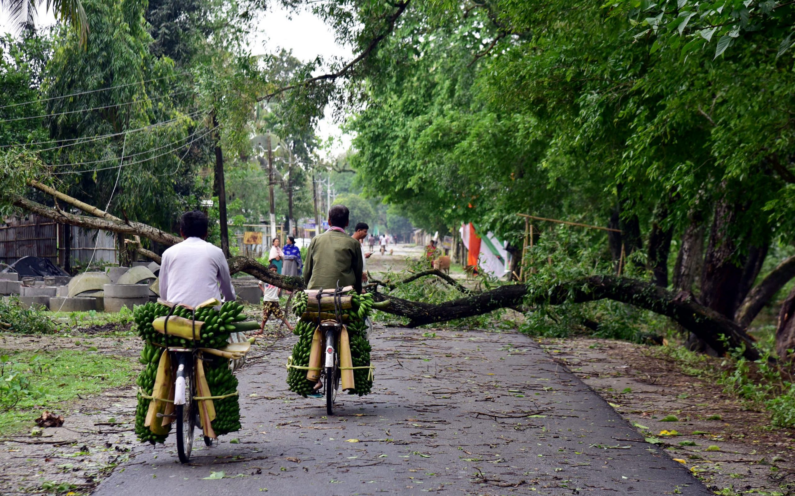 Storms kill 20 in Assam, over 200 houses damaged in Mizoram