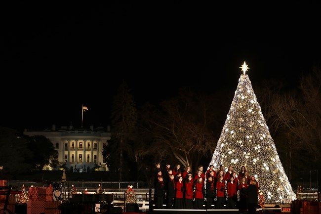 Here’s a look at America’s National Christmas Trees through the years