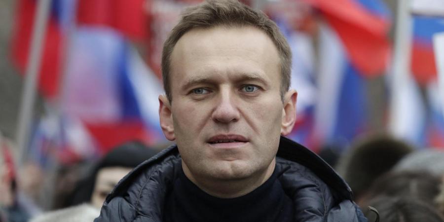 Russia rejects foreign concerns over Alexei Navalny’s health