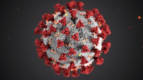 India sounds alert over new coronavirus variant in South Africa