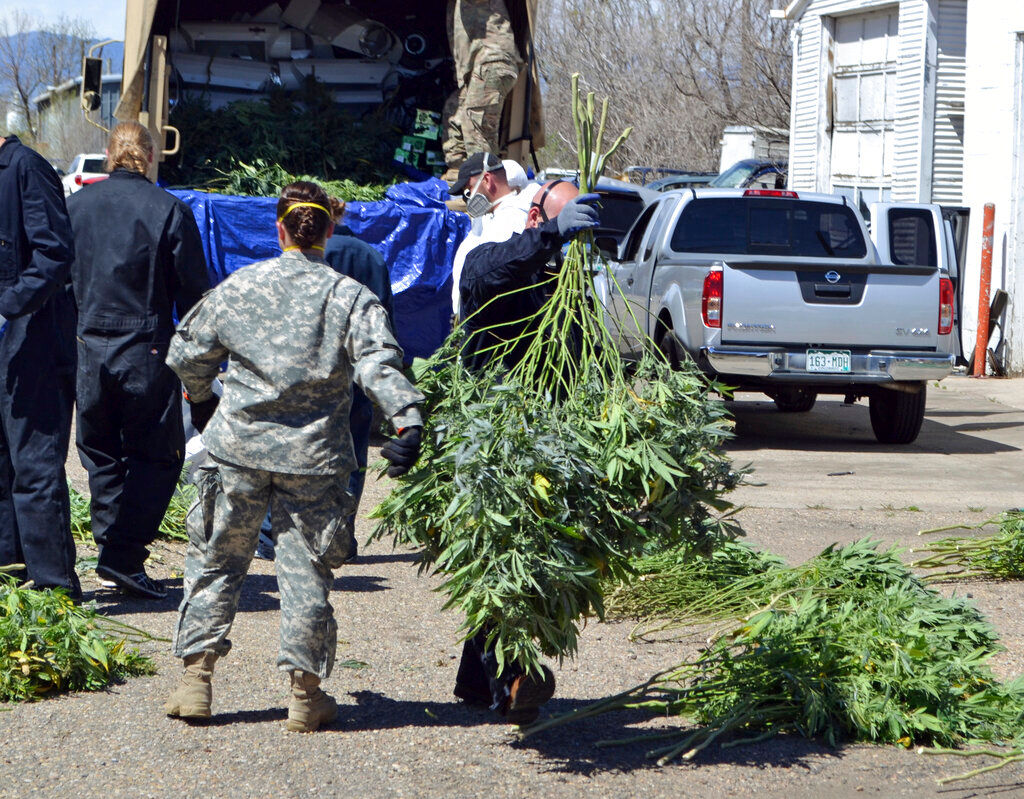 Illegal pot operations in Oregon’s county trigger emergency declaration