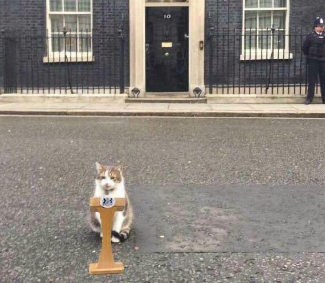 Boris Johnson resignation: Meet Larry the Cat, latest to quit PM cabinet