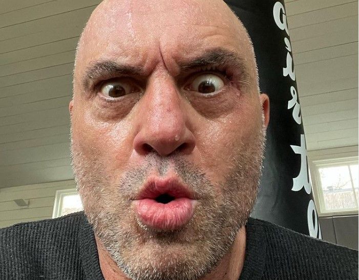 Spotify removes 113 episodes of Joe Rogan’s podcast over COVID row: report