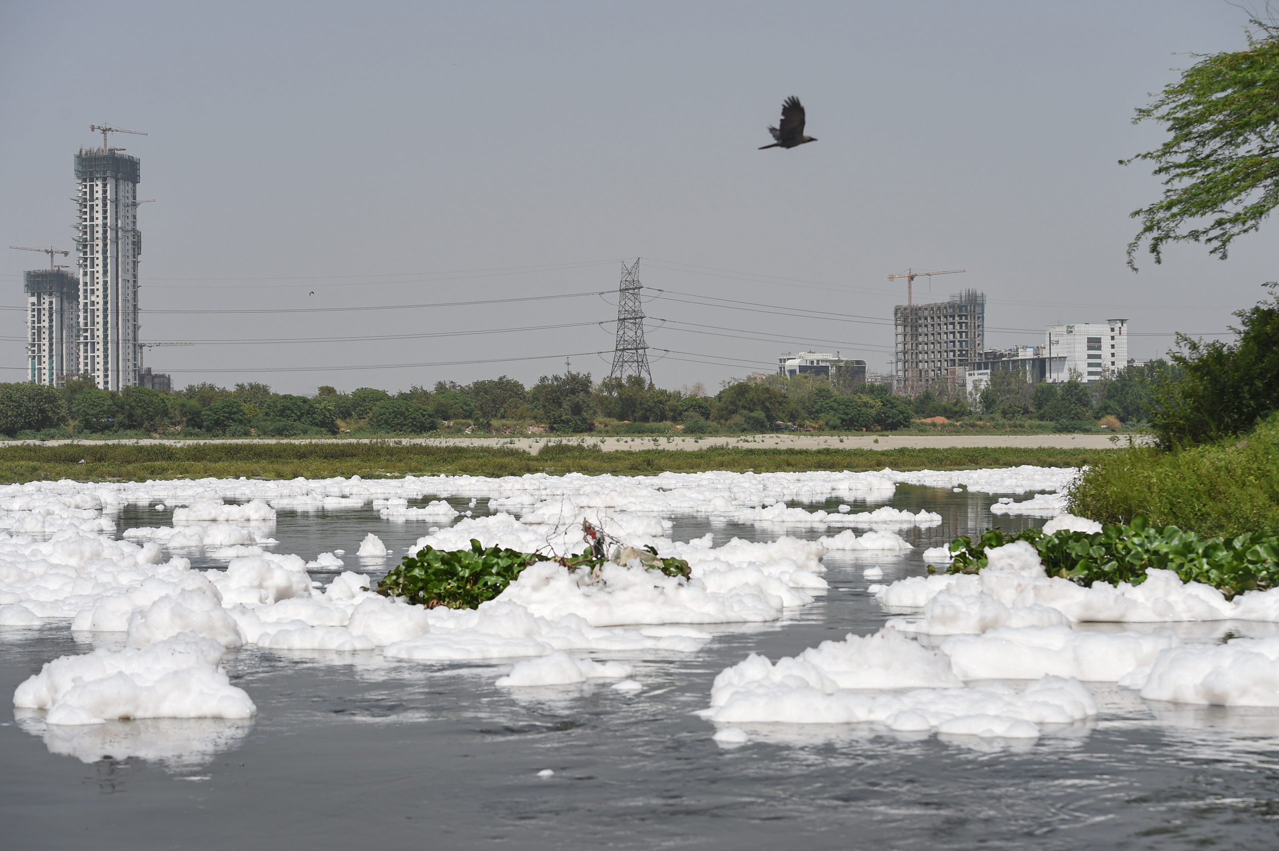 Explained: Why does Yamuna spew out a thick layer of foam in Delhi