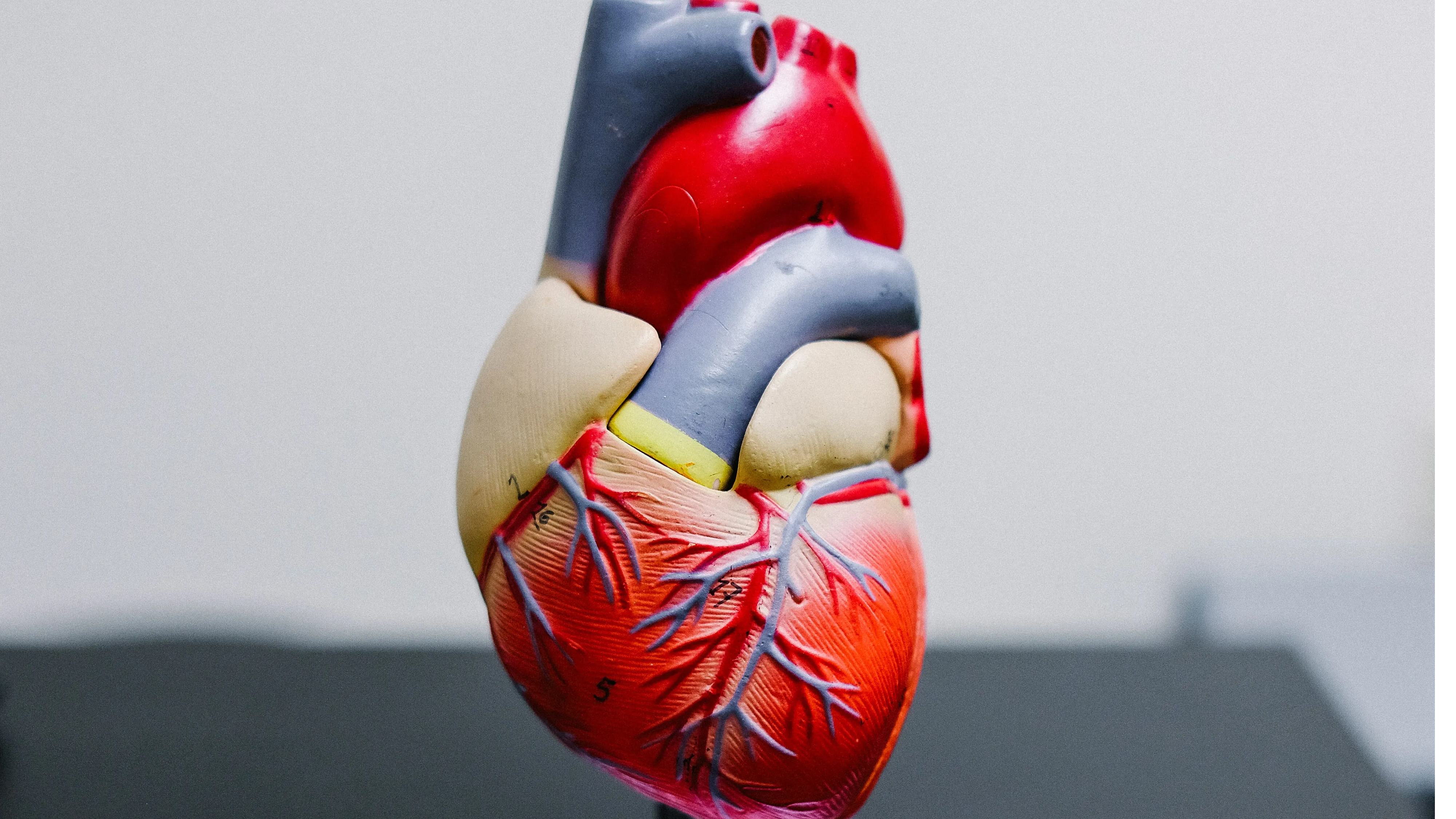 Aortic Stenosis: All you need to know about the heart condition