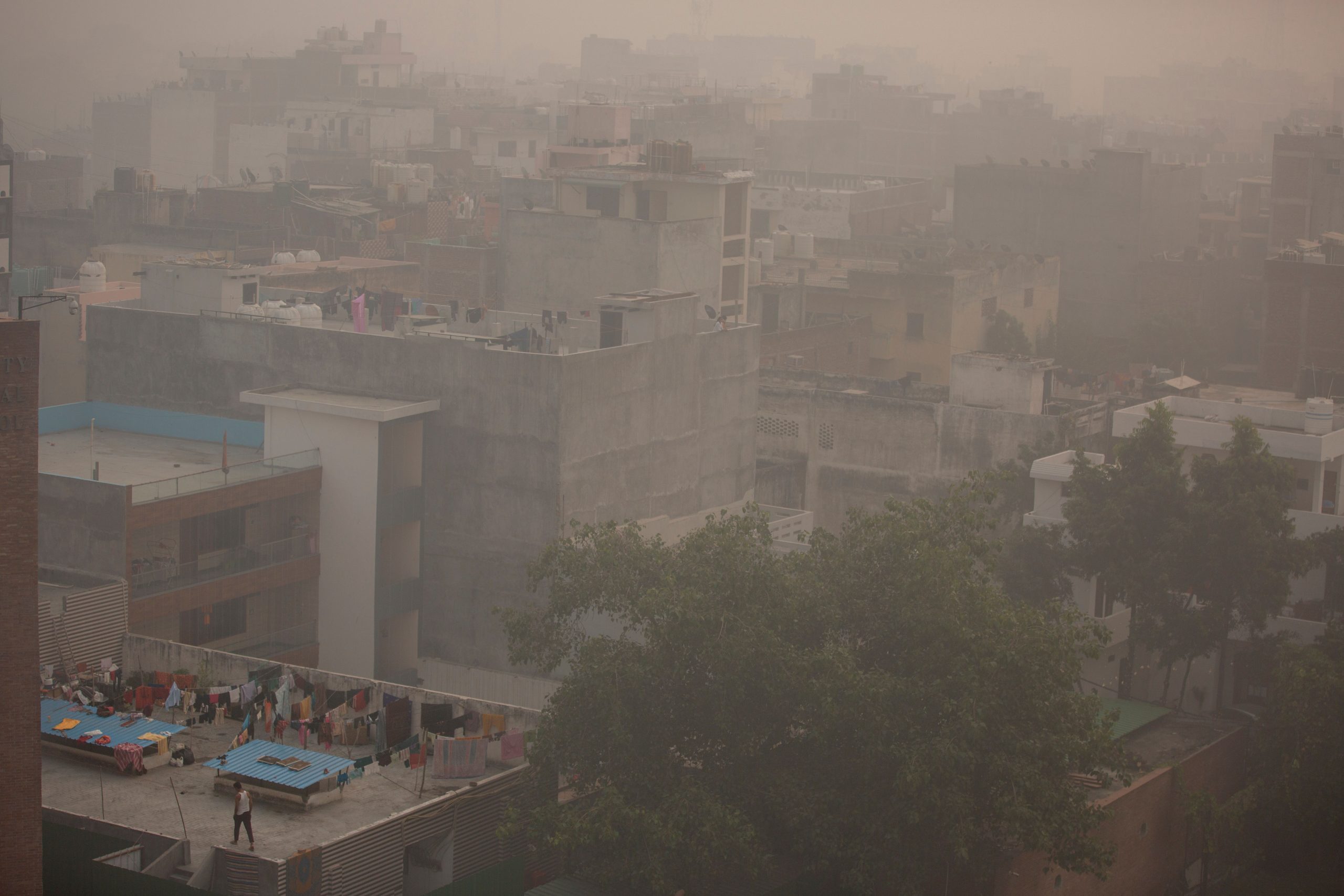 Pollution lockdown? WFH? Delhi mulls ways to tackle air quality crisis