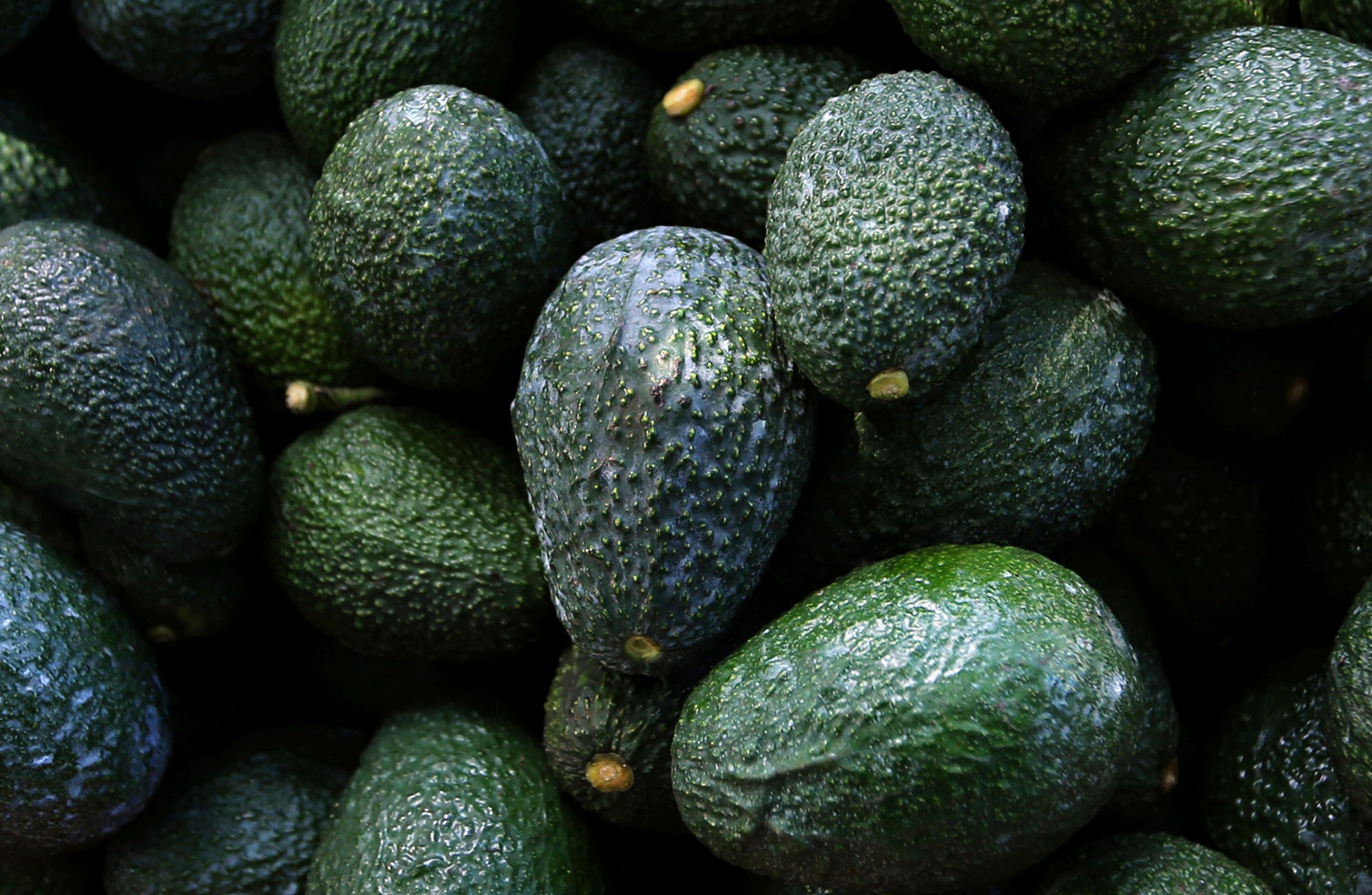 US suspends Mexican avocado imports on eve of Super Bowl