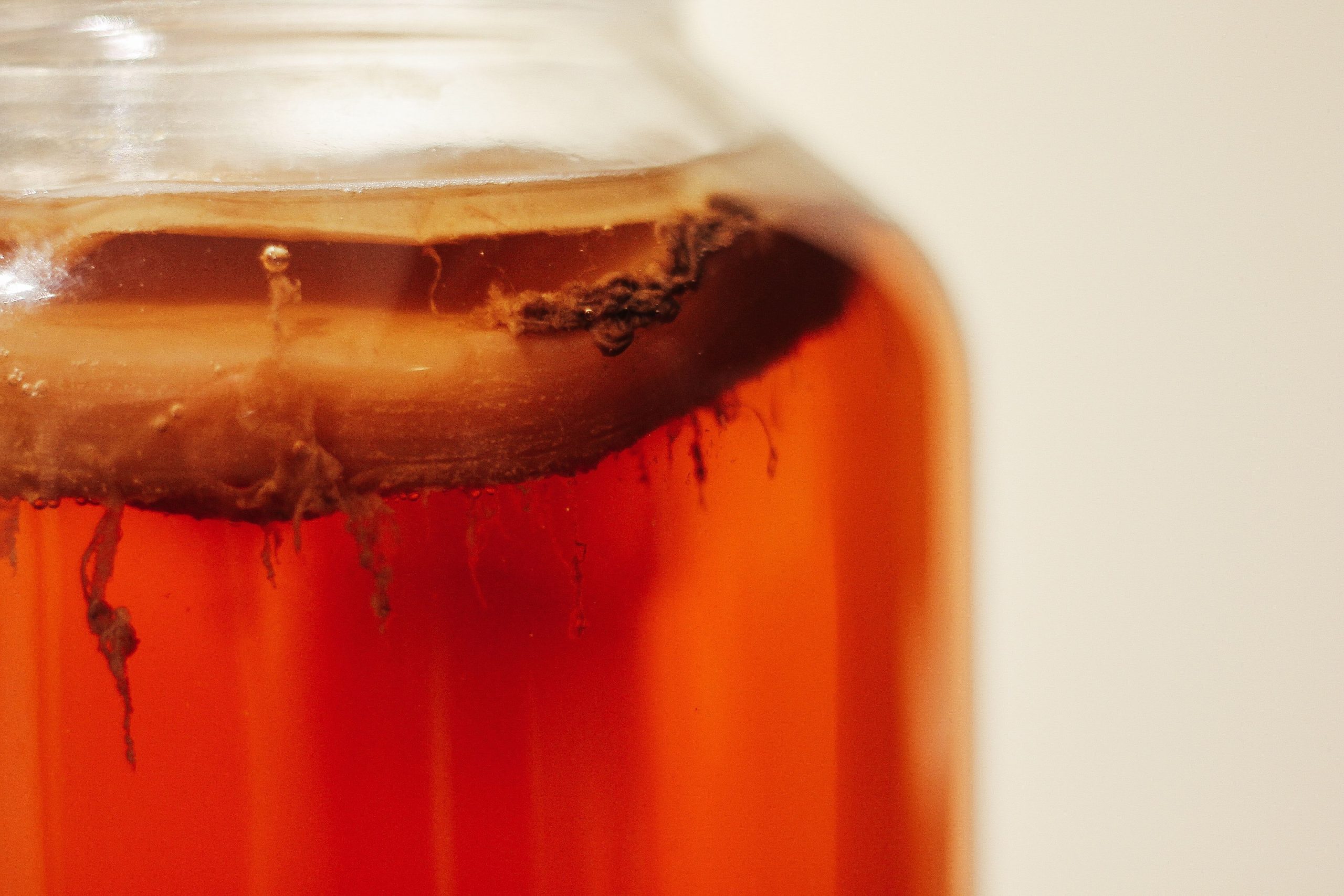 Kombucha tea: Origin, recipe and health benefits