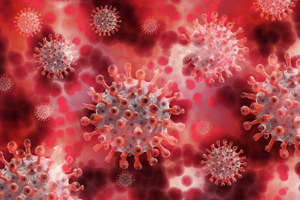 Novel coronavirus mutations have no effect on transmissibility: Study