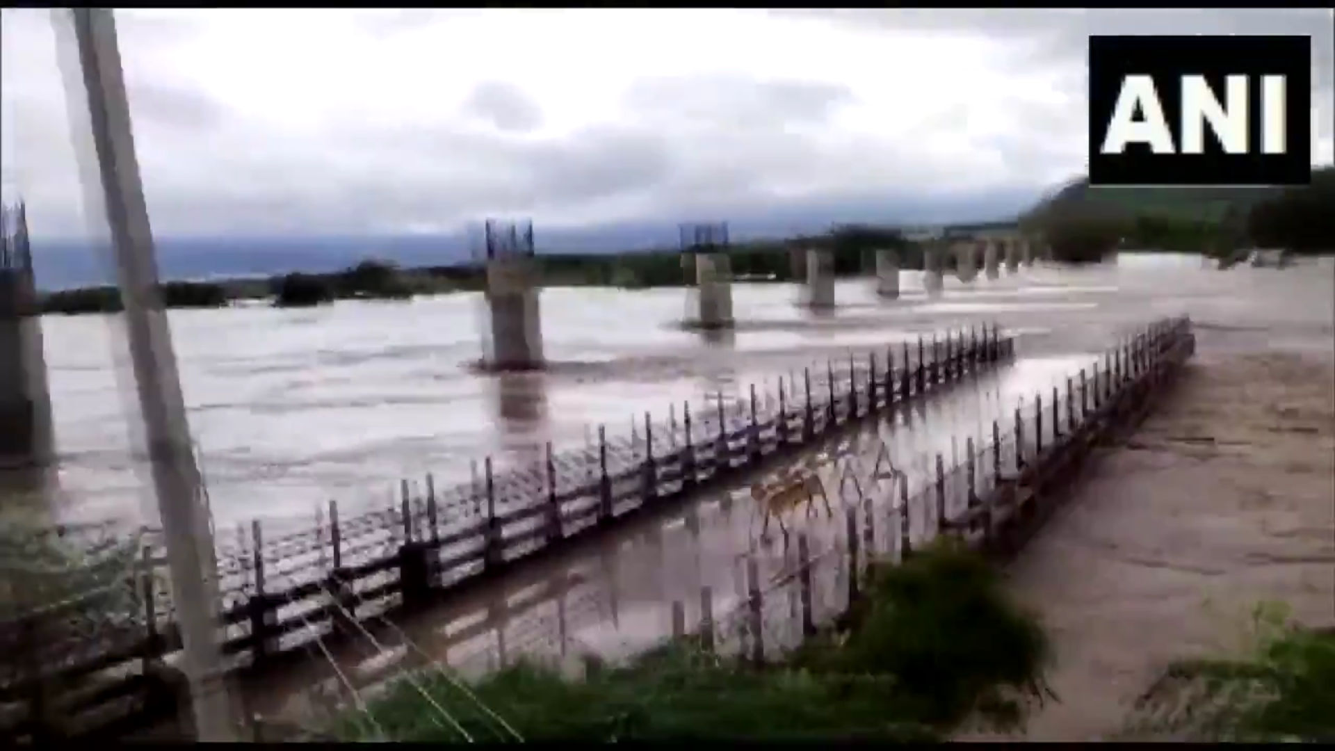 Watch | Flood waters wash away 2 bridges in Datia, Madhya Pradesh