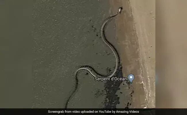 Huge ‘Snake Skeleton’ on google maps sparks Titanoboa theories