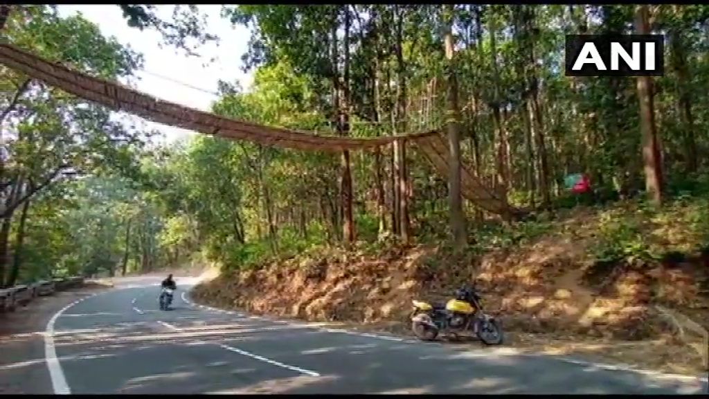 First-of-its-kind eco-bridge built in Uttarakhand for reptiles to cross busy highway
