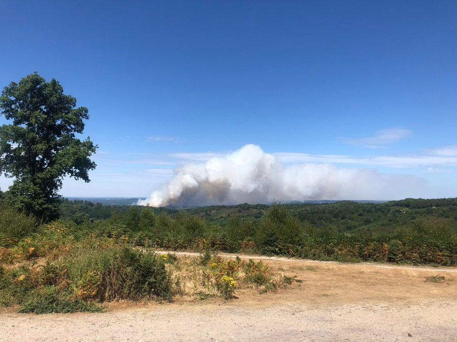Hankley Common, Surrey wildfire: Major incident declared, authorities respond