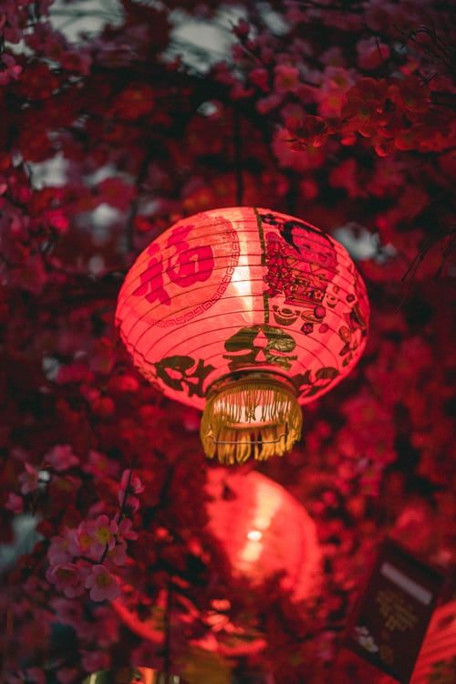 Lunar New Year 2022: How the Chinese new year of the tiger will affect you, your wealth, and more
