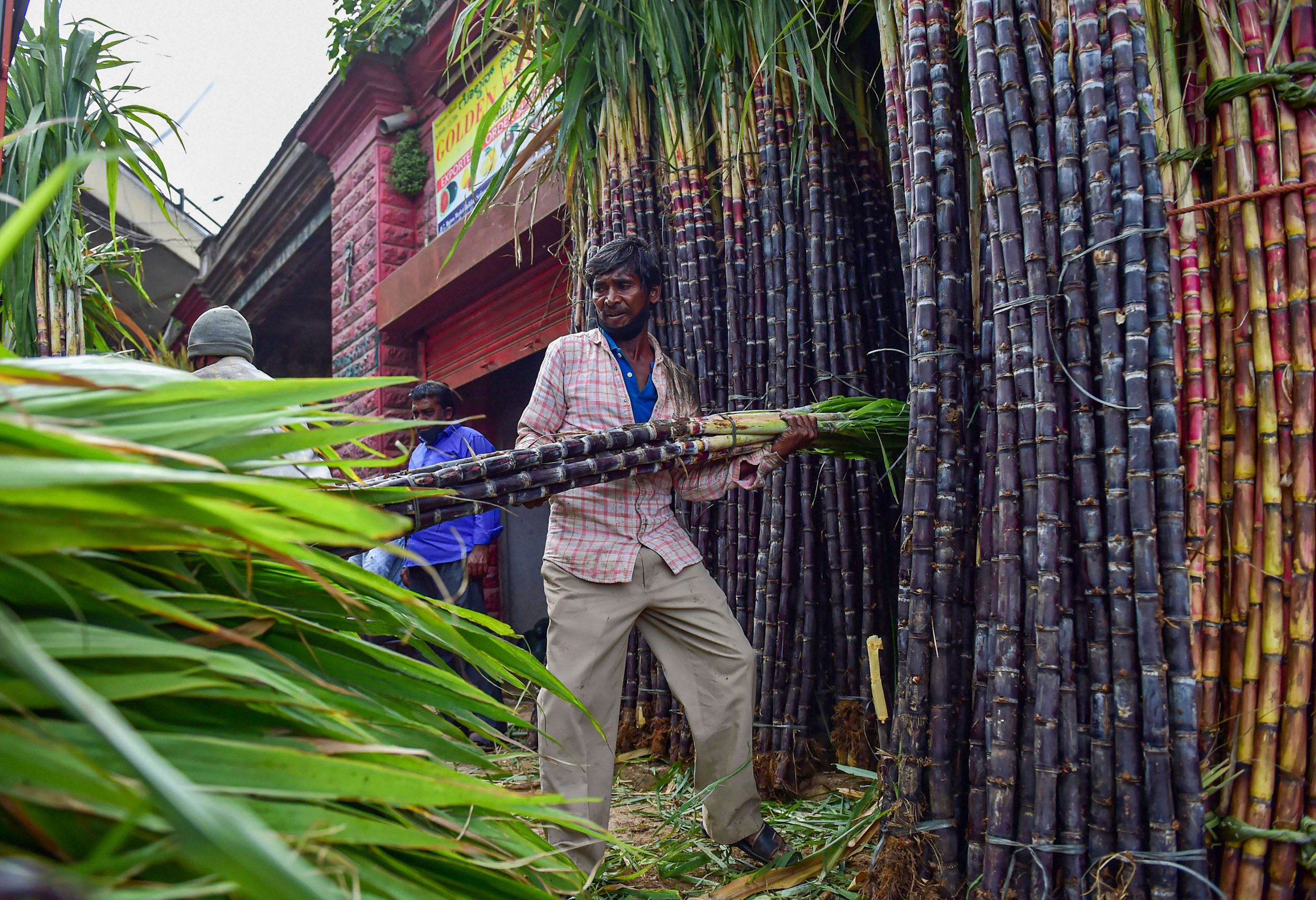 Is sugarcane juice the drink that’ll change the game this winter?