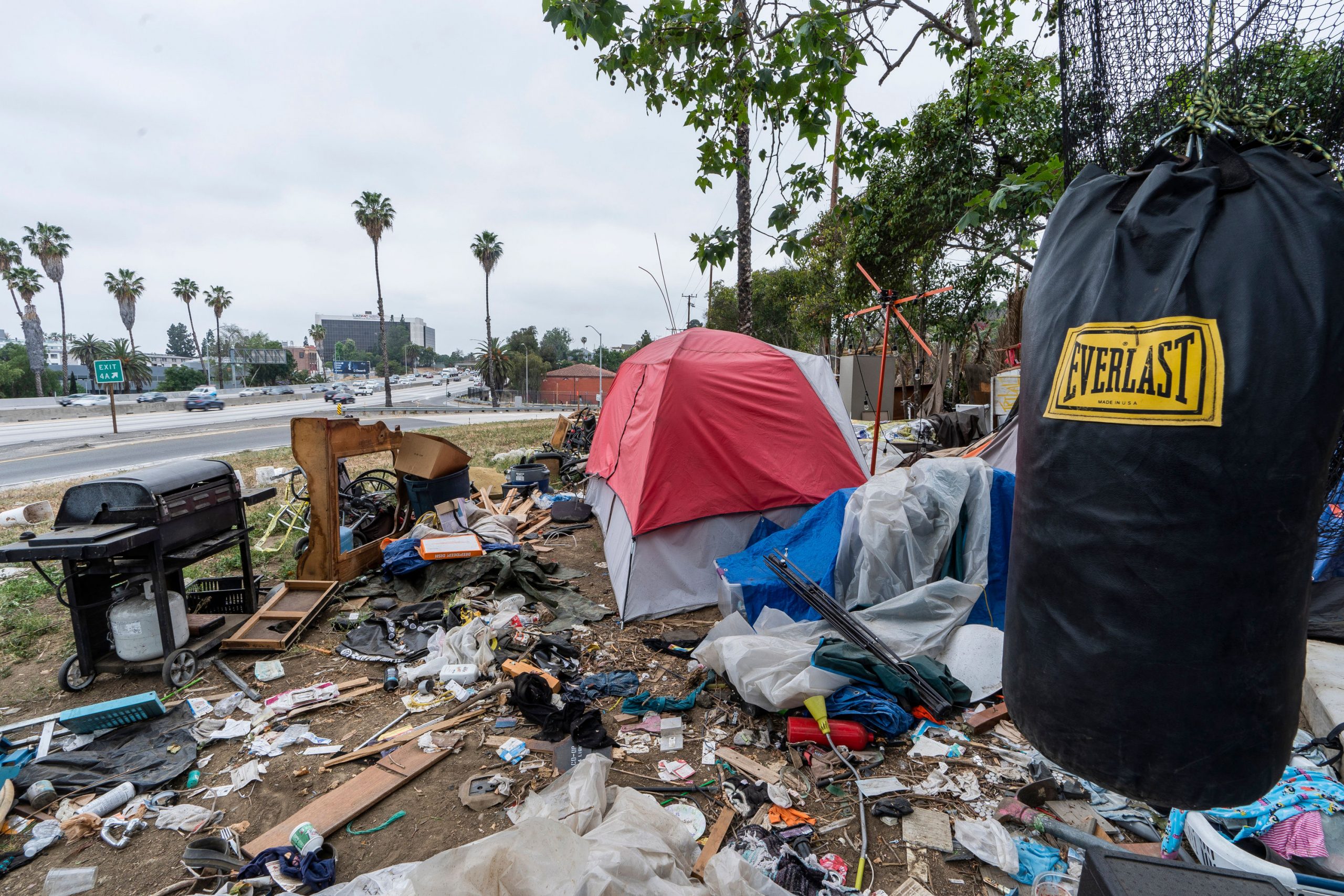 Crime, homelessness frame race for mayor of Los Angeles