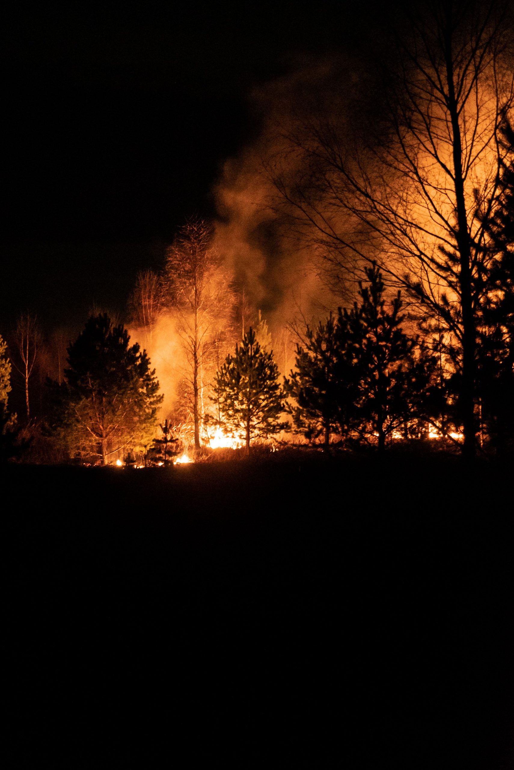 Wildfire leads to evacuation order near Genoa Cemetery, Nevada