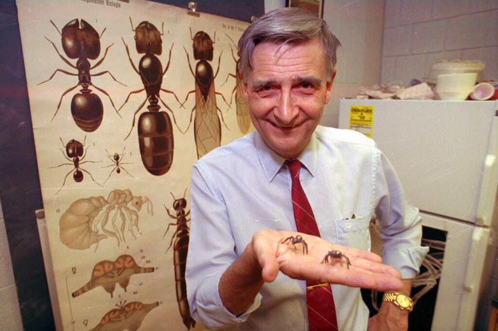 Edward O. Wilson, American biologist known as ‘ant man,’ dies at 92