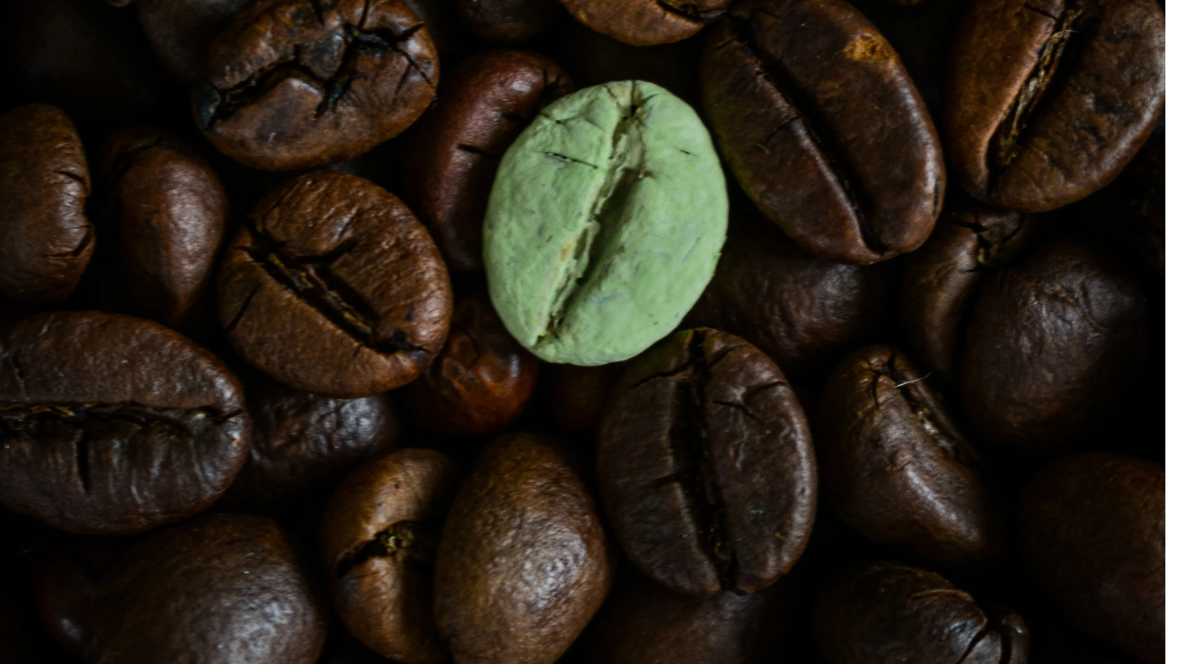 Green is the new black: Heres why you should switch to green coffee
