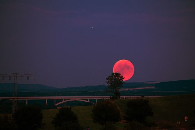 Blood Moon to occur today: All you need to know