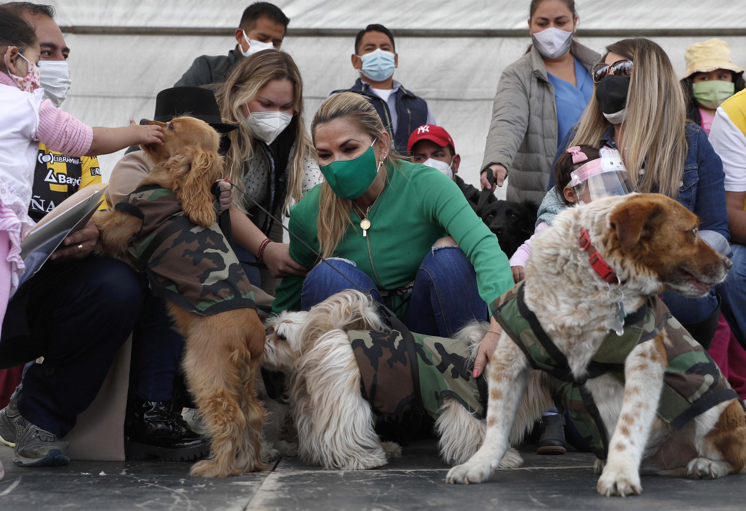 South Korea plans legal status for animals in bid to stop abuse