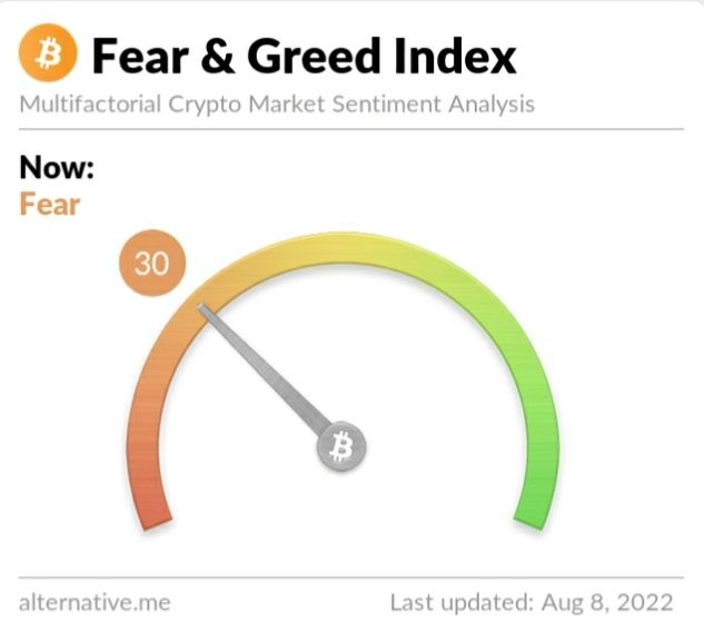 Crypto Fear and Greed Index on Monday, August 8, 2022