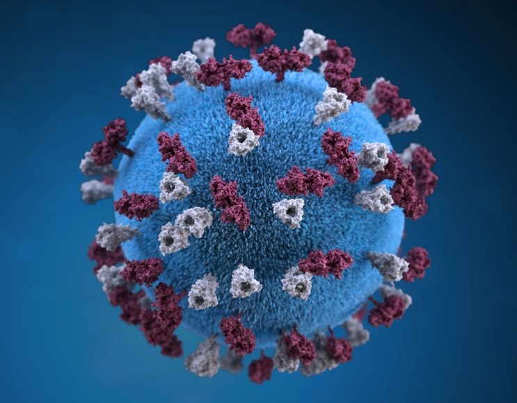 COVID-19: Variants of the novel coronavirus, explained