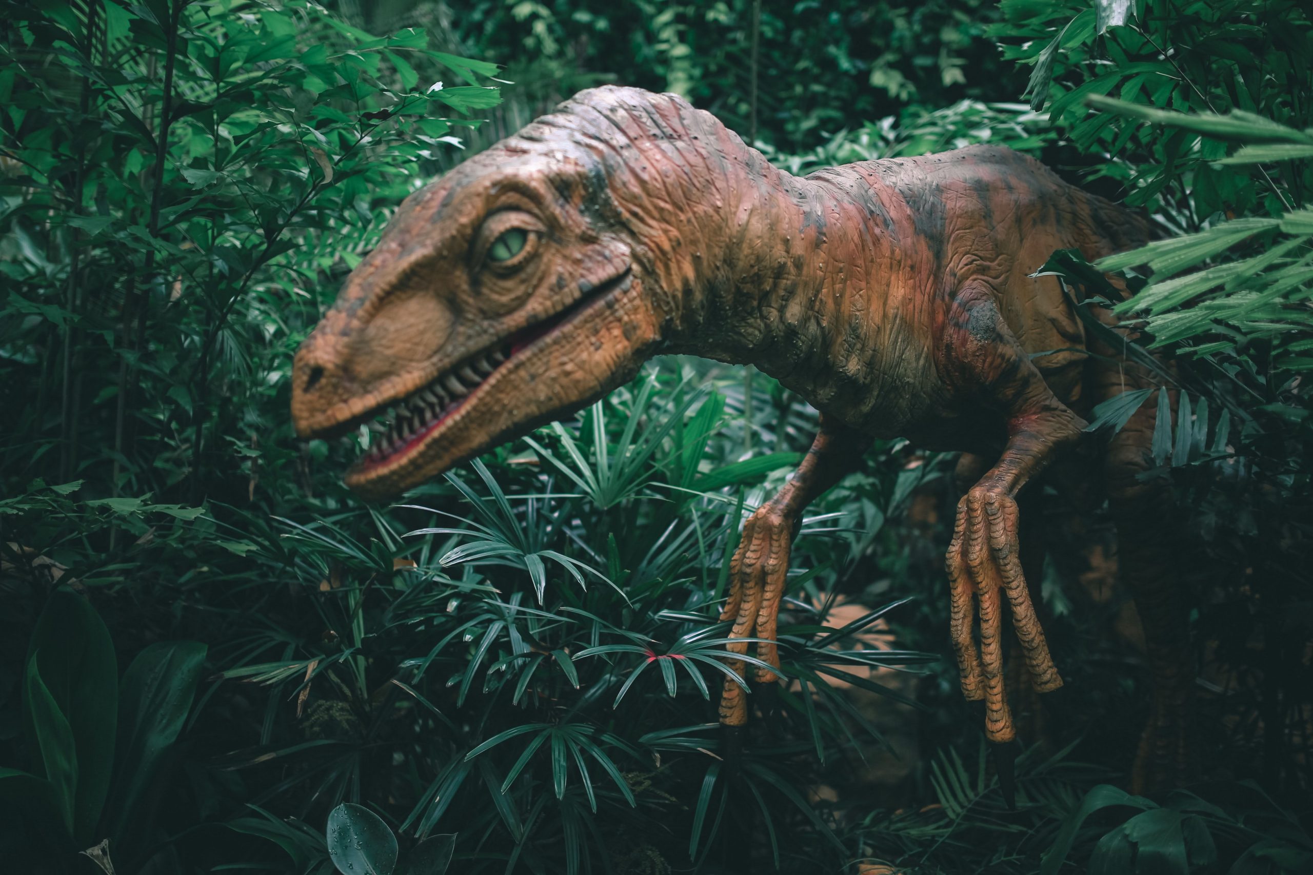 Skeleton of new dinosaur species unearthed in Missouri
