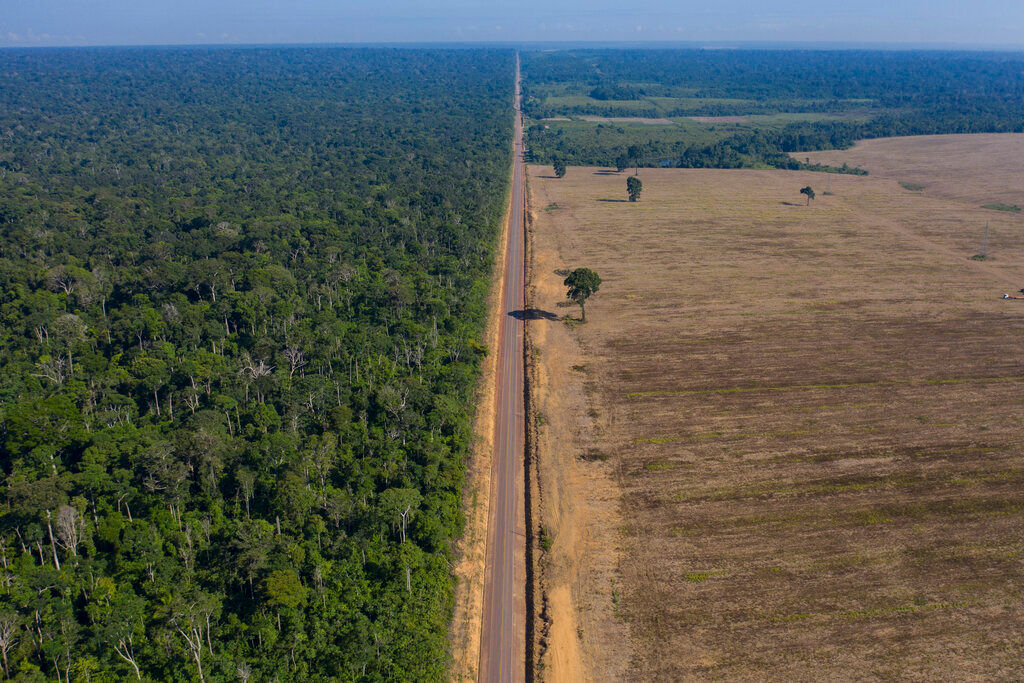 Deforestation in Brazils Amazon surges 22% to reach 15-year high